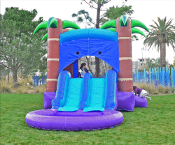 Enchanted Forest Bounce House and Dual Slide Combo with Pool Hero 1 1 Jungle Double Slide Bounce House with Pool