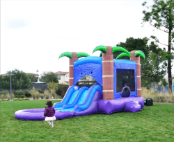 Enchanted Forest Bounce House and Dual Slide Combo with Pool Hero 1 3 Jungle Double Slide Bounce House with Pool