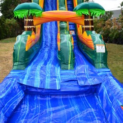 palm water slide 1767457886 19 Palm Water Slide