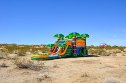 palms water slide bounce house grand rapids scaled 1767468880 Palms Bounce House With Dual Lane Slide