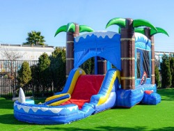 temp img 641131848 525646960 Shark Palm Tree Bounce House with Water Slide Basketball Hoop