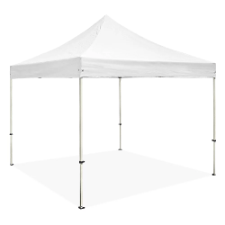 10 x 10 foot Canopy - White