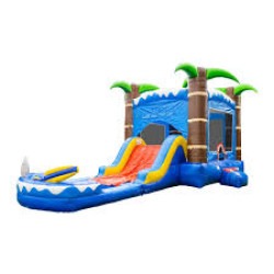 Shark Palm Tree Bounce House with Water Slide Basketball Hoop